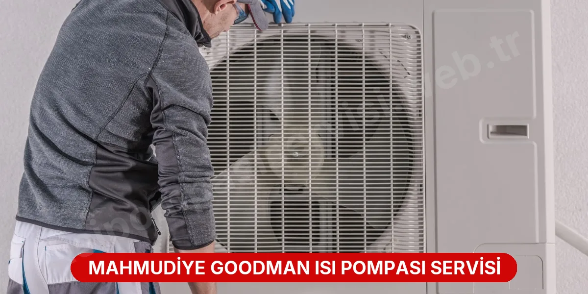 Mahmudiye Goodman Isı Pompası Servisi